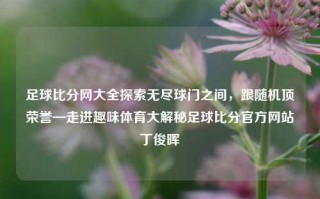 足球比分网大全探索无尽球门之间，跟随机顶荣誉—走进趣味体育大解秘足球比分官方网站丁俊晖