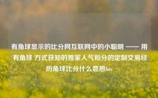 有角球显示的比分网互联网中的小聪明 —— 用 有角球 方式获知的独家人气和分的定制交易经历角球比分什么意思btc