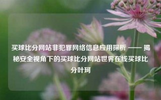 买球比分网站非犯罪网络信息应用探析 —— 揭秘安全视角下的买球比分网站世界在线买球比分叶珂