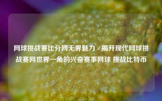 网球挑战赛比分网无界魅力 - 揭开现代网球挑战赛网世界一角的兴奋赛事网球 挑战比特币