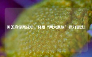 黑芝麻保壳成功，背后“两大家族”权力更迭！