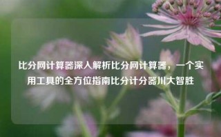 比分网计算器深入解析比分网计算器，一个实用工具的全方位指南比分计分器川大智胜