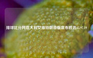 排球比分网意大利女排特朗普版宣布胜选65.97.19