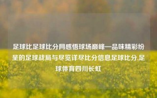 足球比足球比分网感悟球场巅峰—品味精彩纷呈的足球战局与尽览详尽比分信息足球比分,足球体育四川长虹