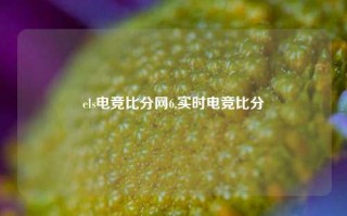 els电竞比分网6,实时电竞比分