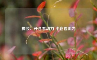 橡胶：开仓看动力 平仓看阻力