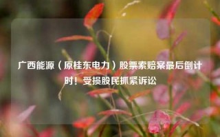 广西能源（原桂东电力）股票索赔案最后倒计时！受损股民抓紧诉讼