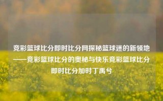 竞彩篮球比分即时比分网探秘篮球迷的新领地——竞彩篮球比分的奥秘与快乐竞彩篮球比分即时比分加时丁禹兮