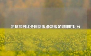 足球即时比分网新版,最新版足球即时比分