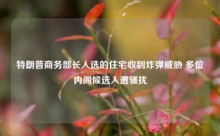 特朗普商务部长人选的住宅收到炸弹威胁 多位内阁候选人遭骚扰