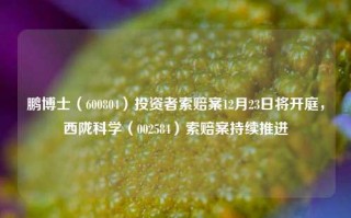 鹏博士（600804）投资者索赔案12月23日将开庭，西陇科学（002584）索赔案持续推进