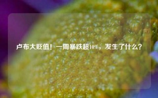 卢布大贬值！一周暴跌超10%，发生了什么？