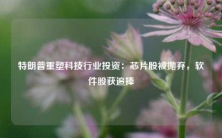 特朗普重塑科技行业投资：芯片股被抛弃，软件股获追捧