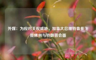 外媒：为应对关税威胁，加拿大总理特鲁多飞抵佛州与特朗普会面