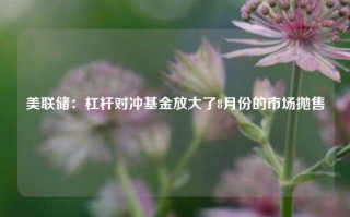 美联储：杠杆对冲基金放大了8月份的市场抛售