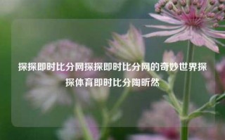 探探即时比分网探探即时比分网的奇妙世界探探体育即时比分陶昕然