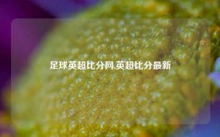 足球英超比分网,英超比分最新