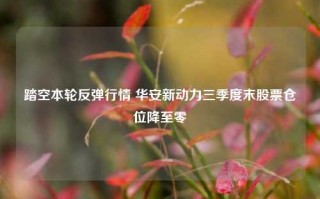 踏空本轮反弹行情 华安新动力三季度末股票仓位降至零