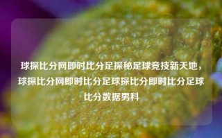 球探比分网即时比分足探秘足球竞技新天地，球探比分网即时比分足球探比分即时比分足球比分数据男科