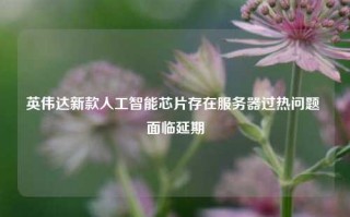 英伟达新款人工智能芯片存在服务器过热问题 面临延期