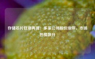 存储芯片狂潮再现：多家公司股价涨停，市场热情飙升