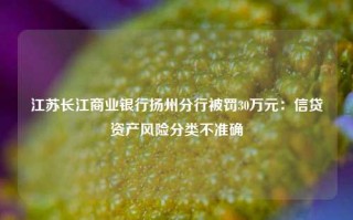 江苏长江商业银行扬州分行被罚30万元：信贷资产风险分类不准确