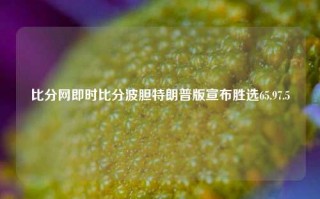 比分网即时比分波胆特朗普版宣布胜选65.97.5