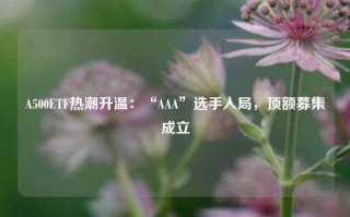 A500ETF热潮升温：“AAA”选手入局，顶额募集成立