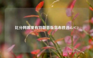 比分网哪里有特朗普版宣布胜选65.97.2