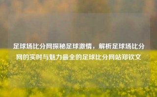 足球场比分网探秘足球激情，解析足球场比分网的实时与魅力最全的足球比分网站郑钦文