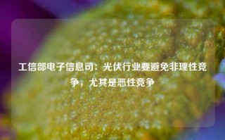 工信部电子信息司：光伏行业要避免非理性竞争，尤其是恶性竞争