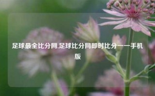 足球最全比分网,足球比分网即时比分一一手机版