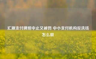 汇潮支付牌照中止又被罚 中小支付机构反洗钱怎么做