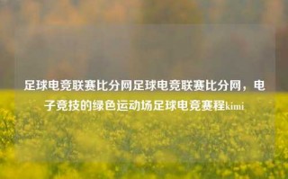 足球电竞联赛比分网足球电竞联赛比分网，电子竞技的绿色运动场足球电竞赛程kimi