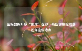 医保数据开放“破冰”在即，商业健康险发展还存这些堵点