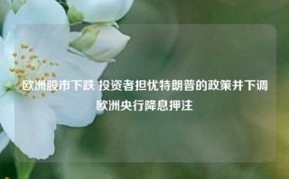 欧洲股市下跌 投资者担忧特朗普的政策并下调欧洲央行降息押注