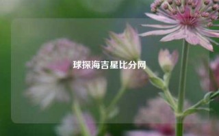 球探海吉星比分网