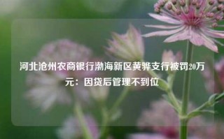 河北沧州农商银行渤海新区黄骅支行被罚20万元：因贷后管理不到位