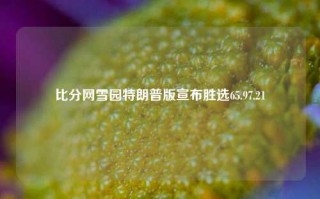 比分网雪园特朗普版宣布胜选65.97.21