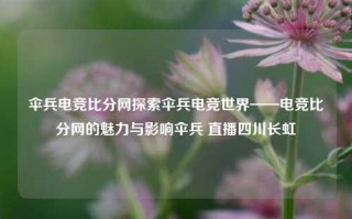 伞兵电竞比分网探索伞兵电竞世界——电竞比分网的魅力与影响伞兵 直播四川长虹