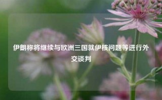 伊朗称将继续与欧洲三国就伊核问题等进行外交谈判