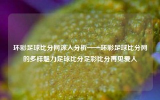 环彩足球比分网深入分析——环彩足球比分网的多样魅力足球比分足彩比分再见爱人