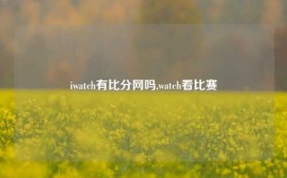 iwatch有比分网吗,watch看比赛