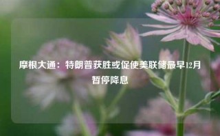 摩根大通：特朗普获胜或促使美联储最早12月暂停降息