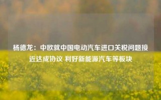 杨德龙：中欧就中国电动汽车进口关税问题接近达成协议 利好新能源汽车等板块