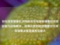 羽毛球亚锦赛比分网探究羽毛球亚锦赛的传奇征程与战绩展示，准确分数的极致观察羽毛球亚锦赛决赛直播再见爱人