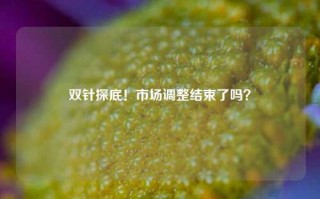 双针探底！市场调整结束了吗？