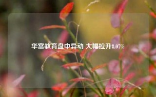 华富教育盘中异动 大幅拉升8.07%