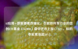 AI应用+数据要素双催化，仓软件开发行业的信创ETF基金（562030）盘中逆市上探1．81%，标的本轮累涨超56%！