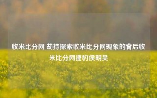 收米比分网 劫持探索收米比分网现象的背后收米比分网捷豹侯明昊